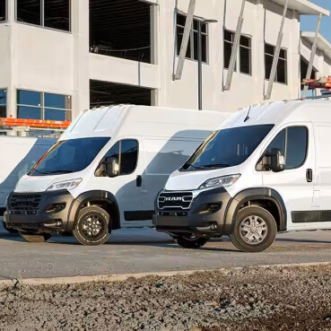 Promaster - 1