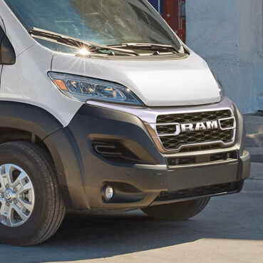 Promaster - 3